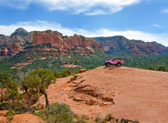 Pink Jeep